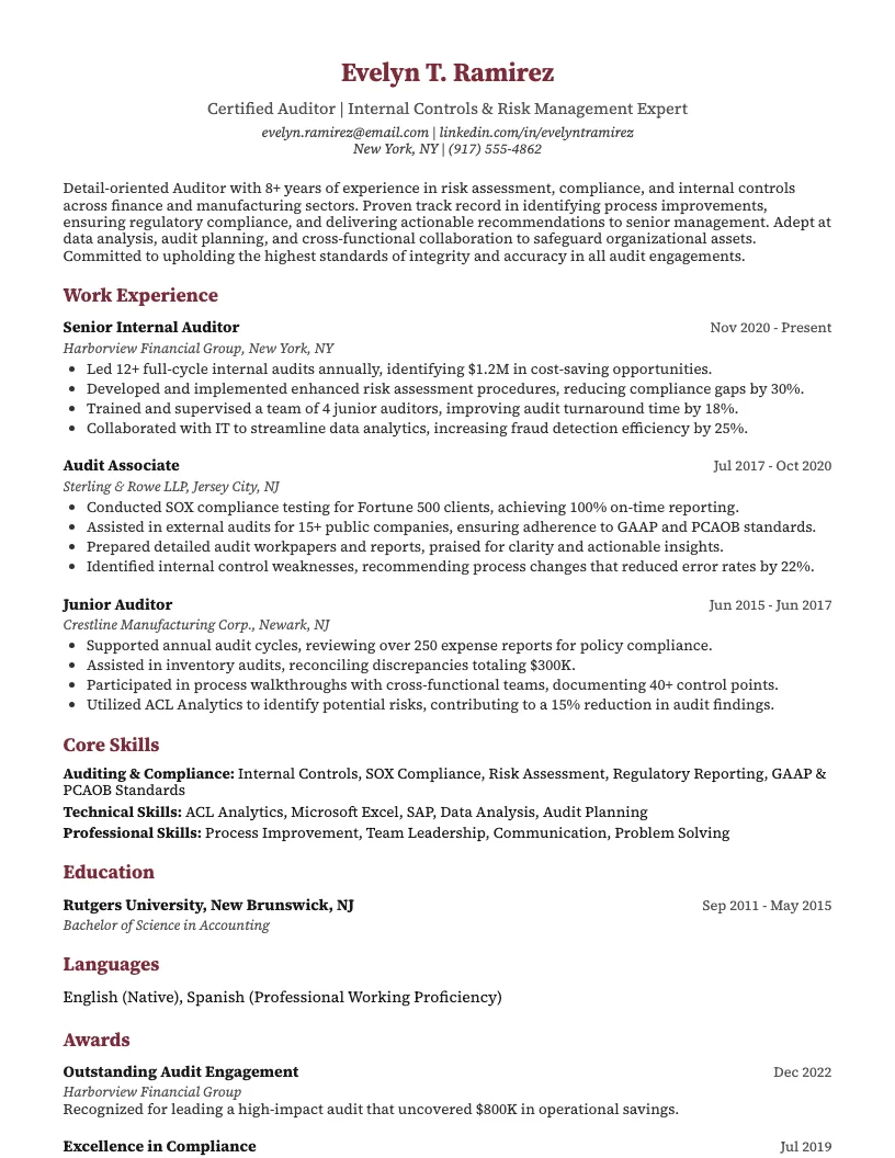 External Auditor Resume Example