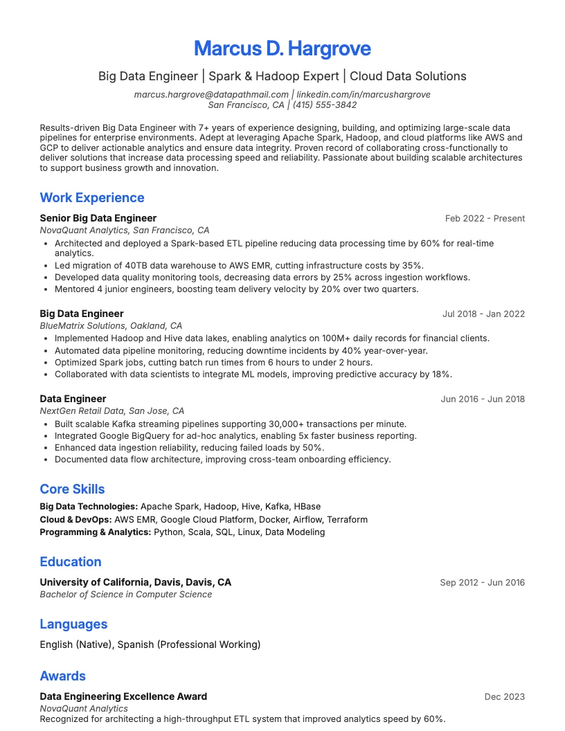 Big Data Engineer resume example
