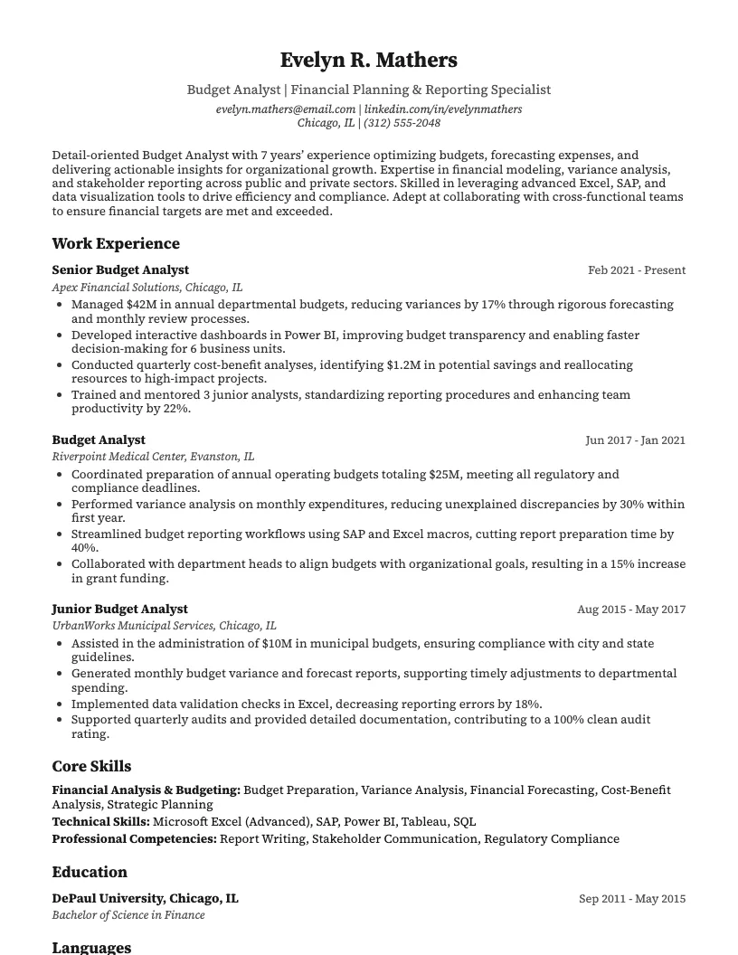 Budget Analyst Resume Example