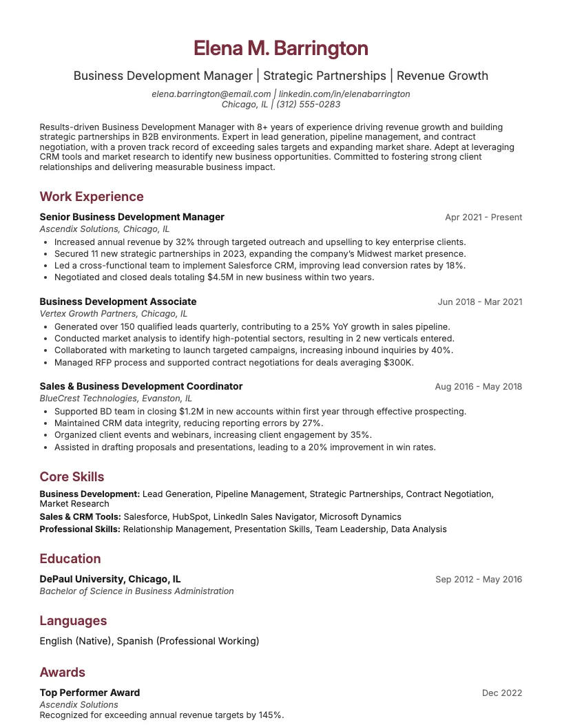 VP of Partnerships Resume Example