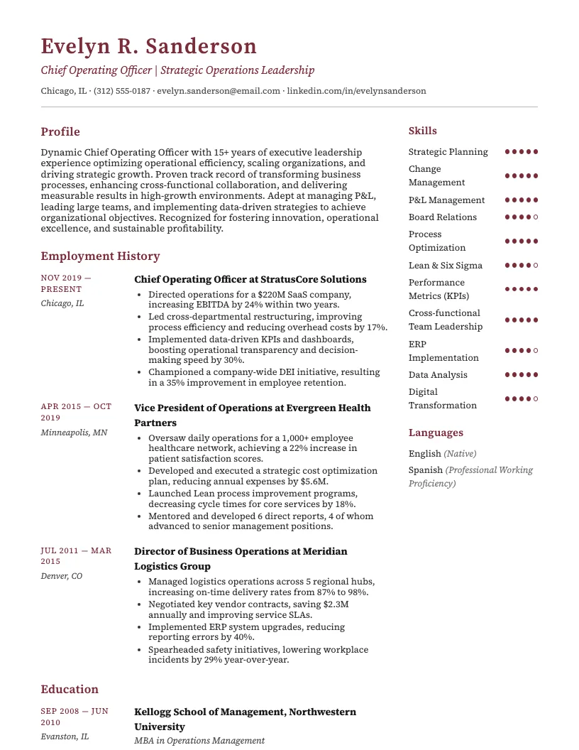 Chief Administrative Officer Resume Example