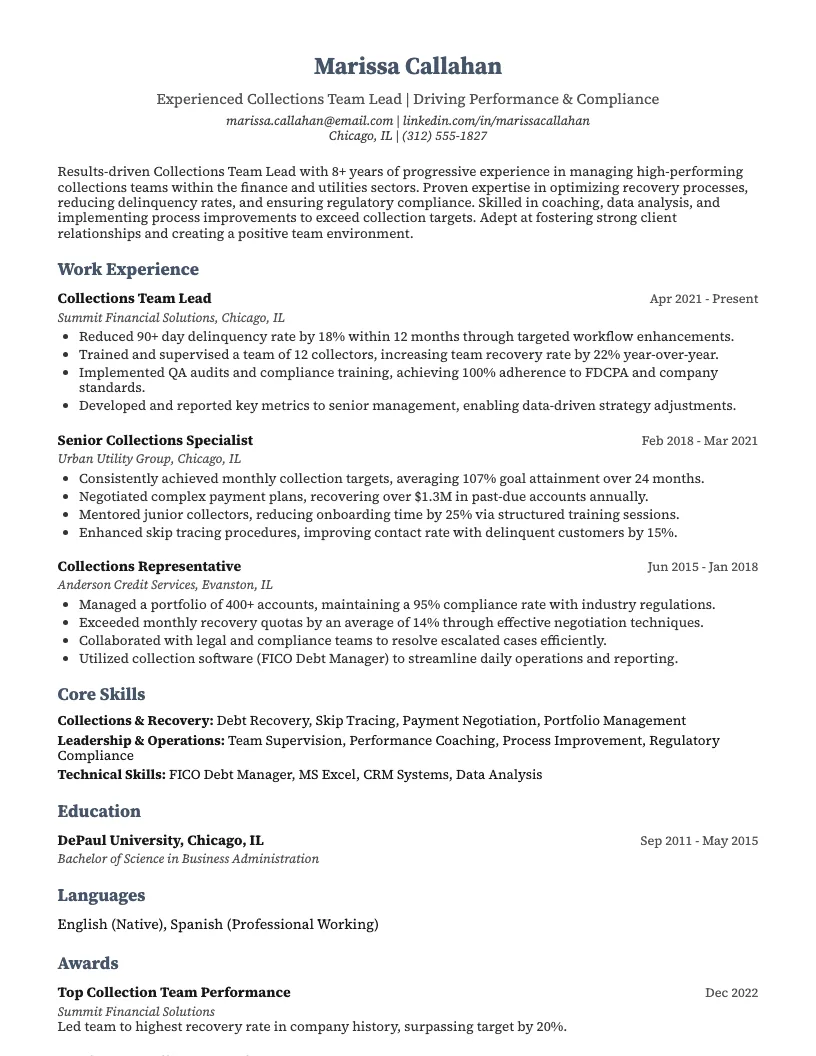Customer Service Team Lead Resume Example