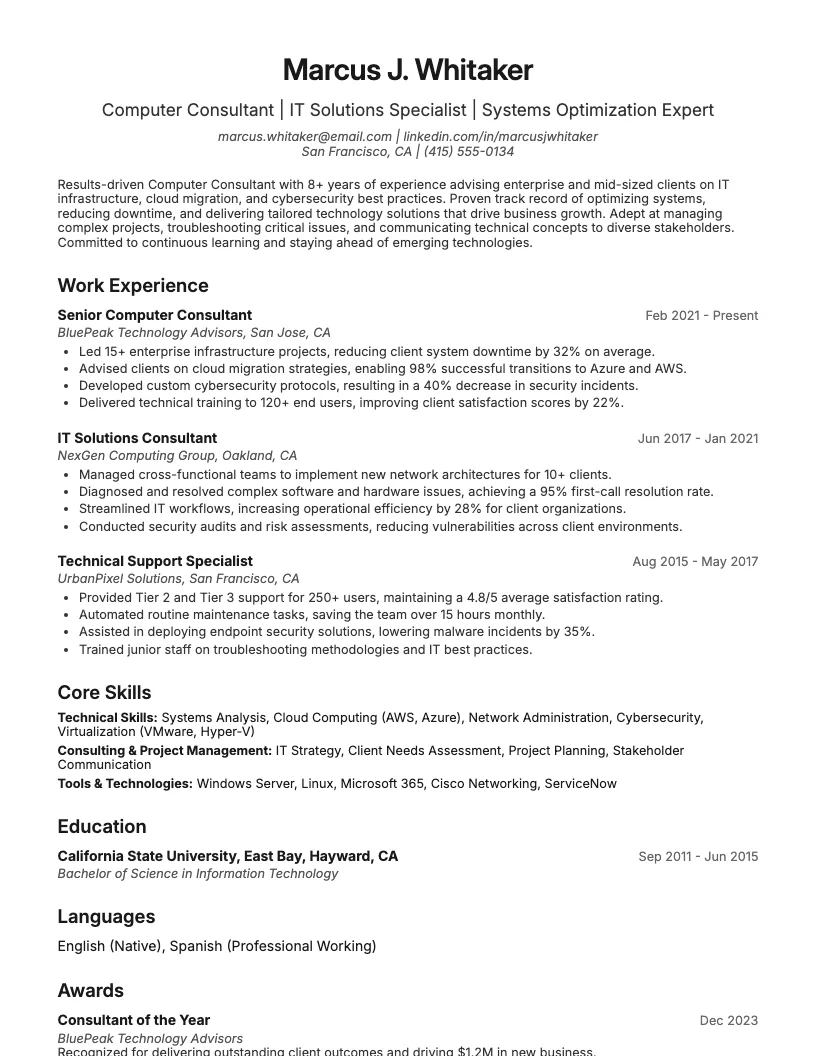 Computer Consultant Resume Example