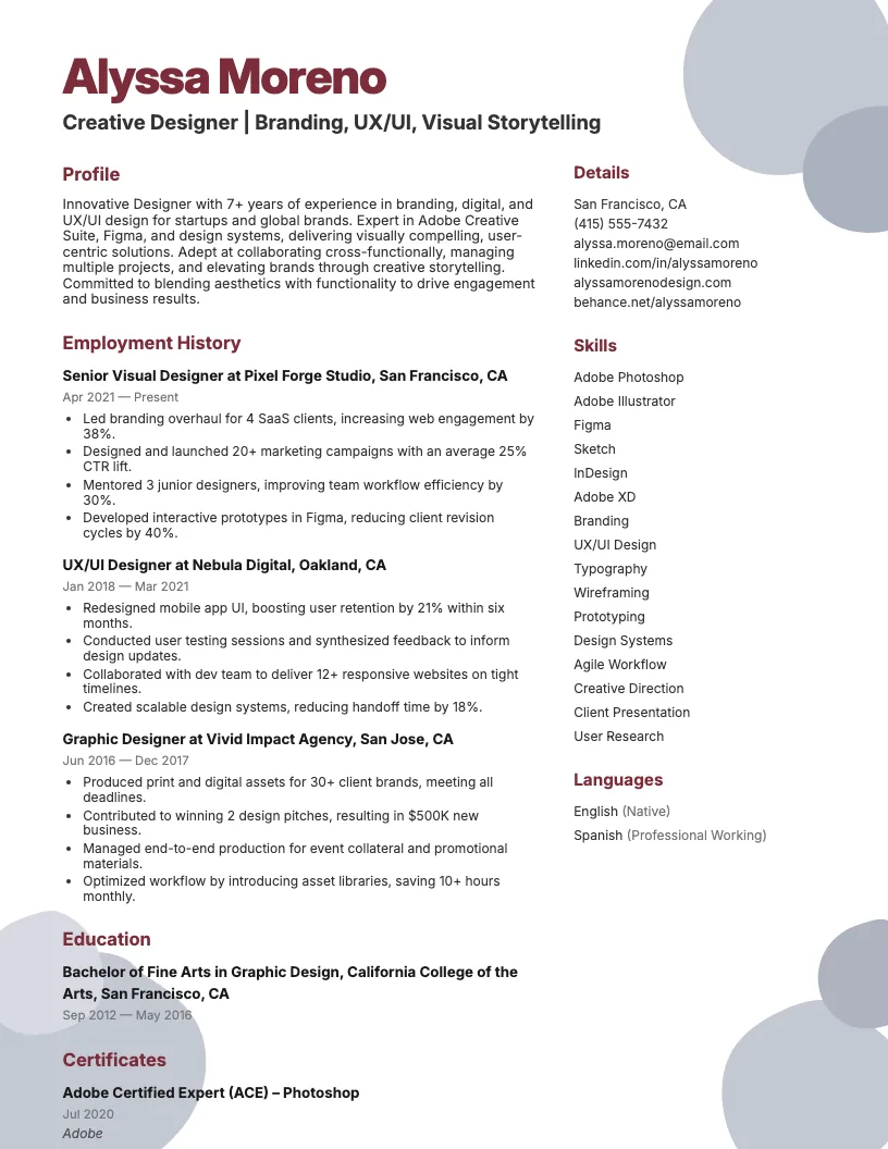Designer Resume Examples Resume Example