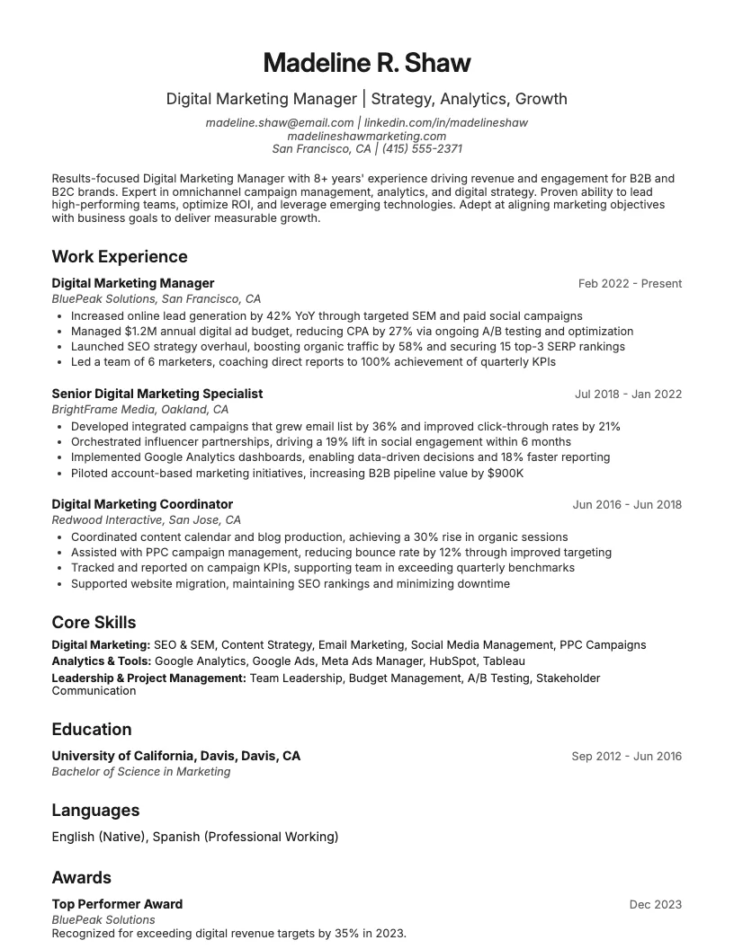 Digital Marketing Manager Resume Example