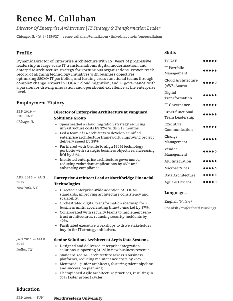 Director Of Enterprise Architecture Resume Example