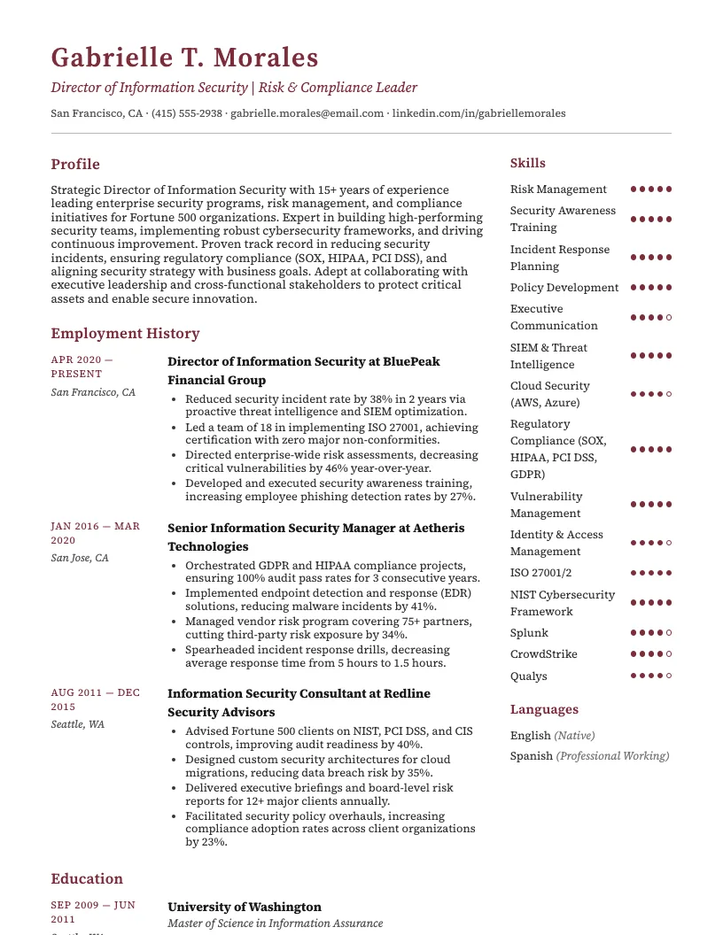 Director Of Information Security Resume Example