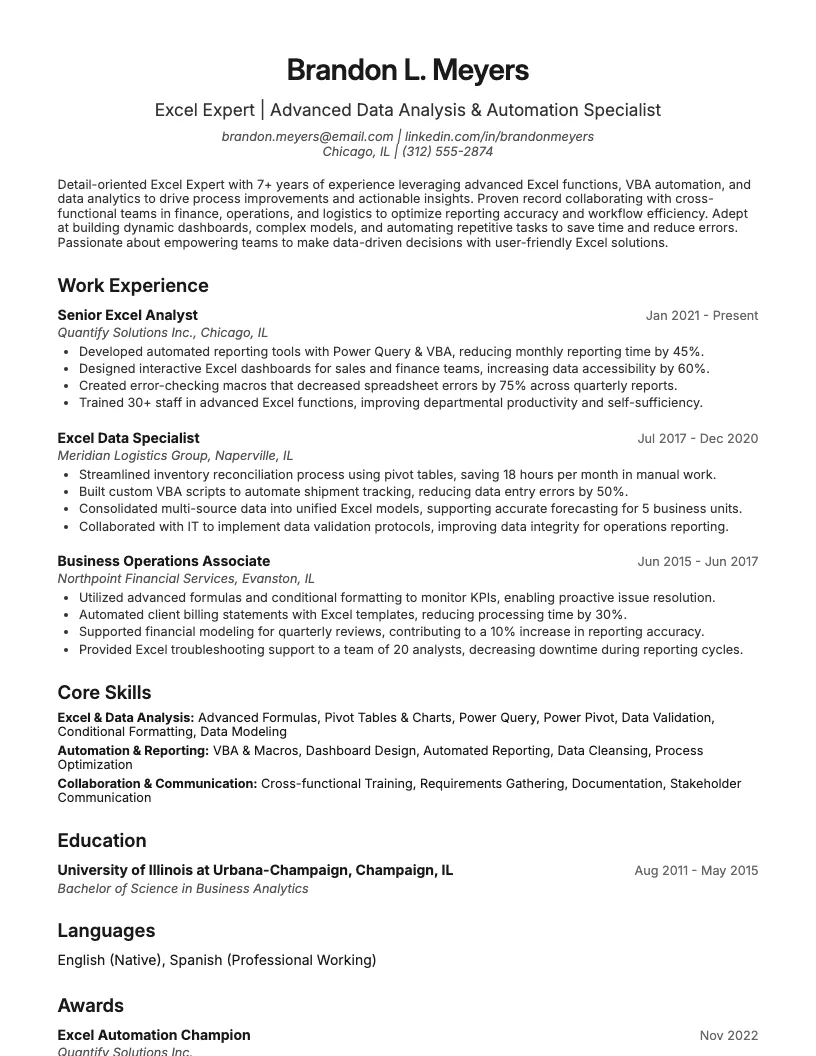 Excel Expert Resume Example