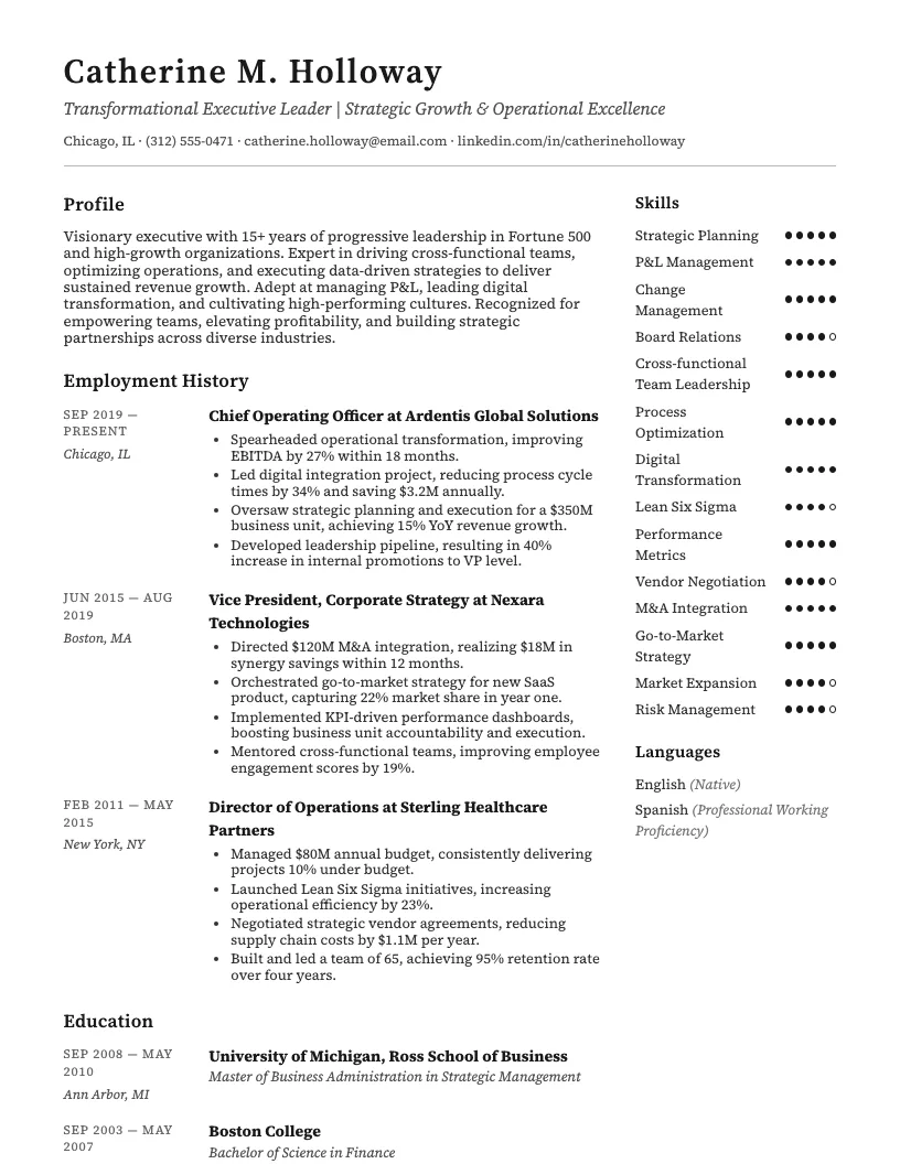 Executive Resume Template resume template