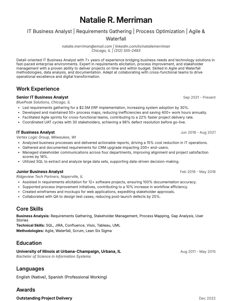 It Business Analyst Resume Example