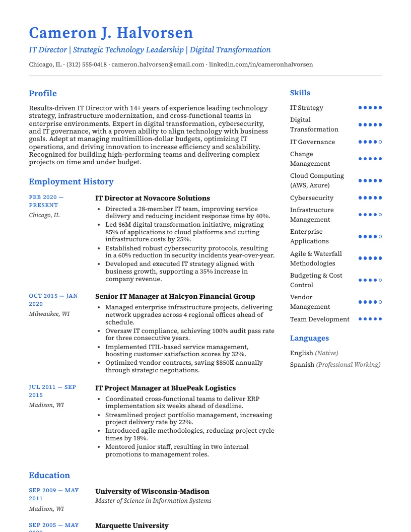 IT Director resume example