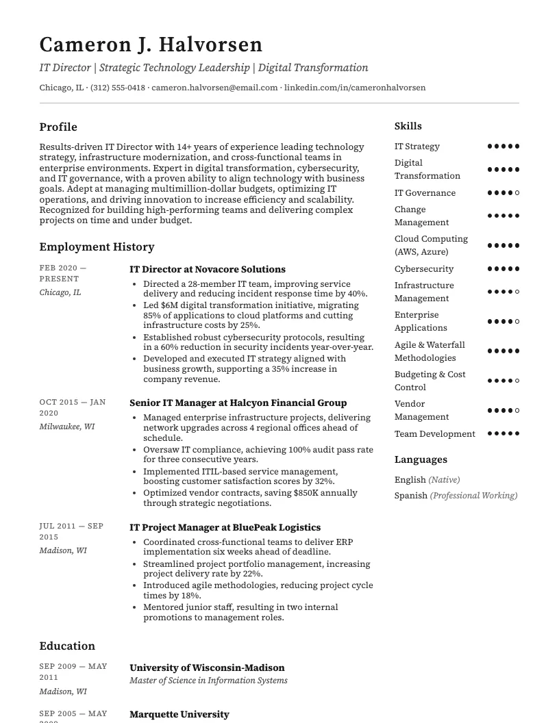 It Director Resume Example
