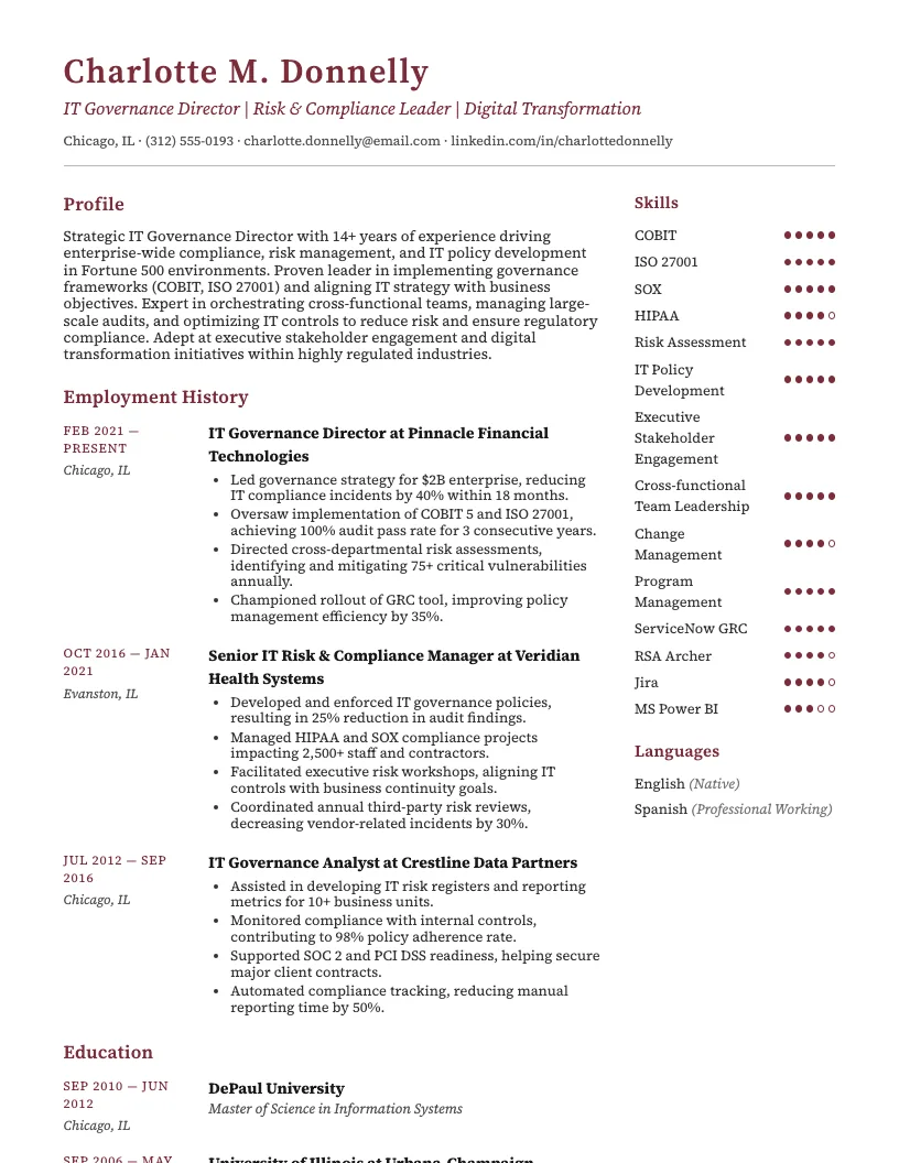 IT Governance Director Resume Example