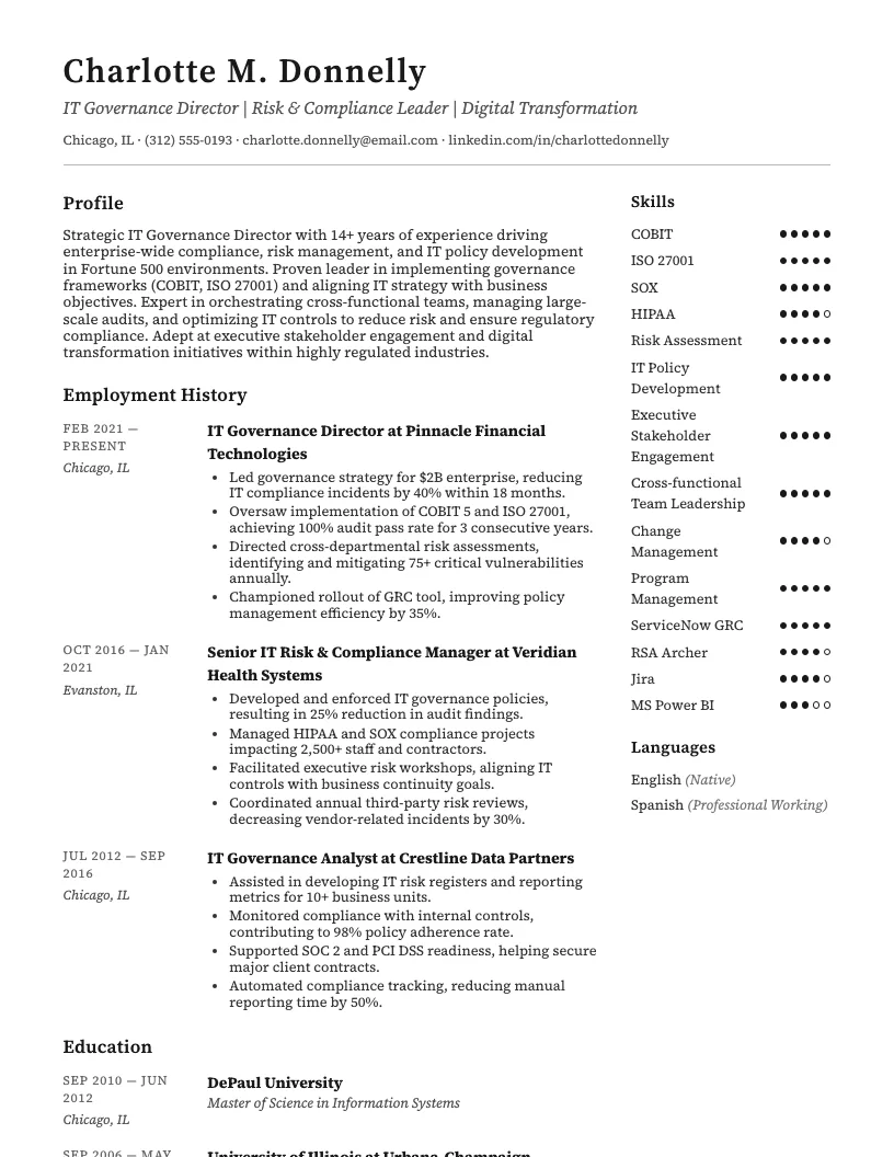It Governance Director Resume Example