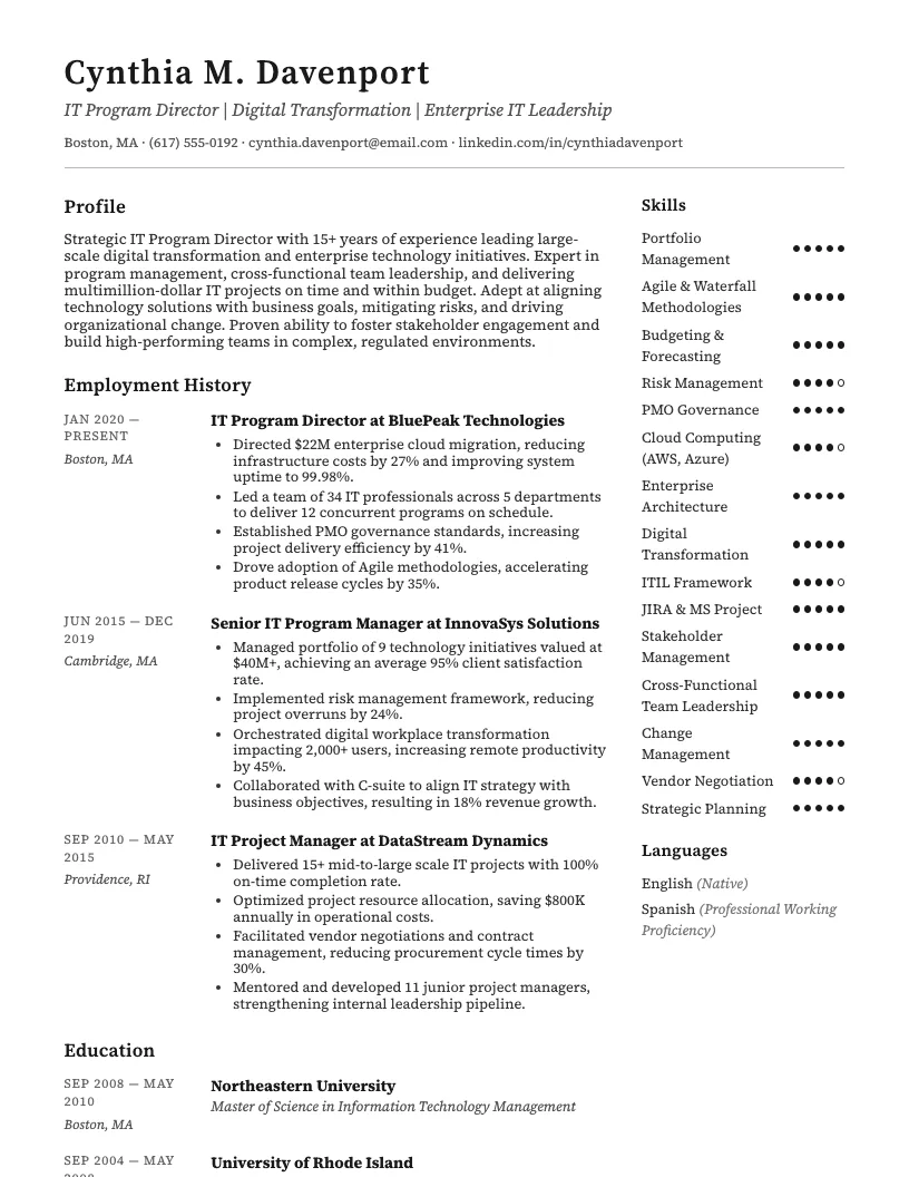 IT Program Director Resume Example