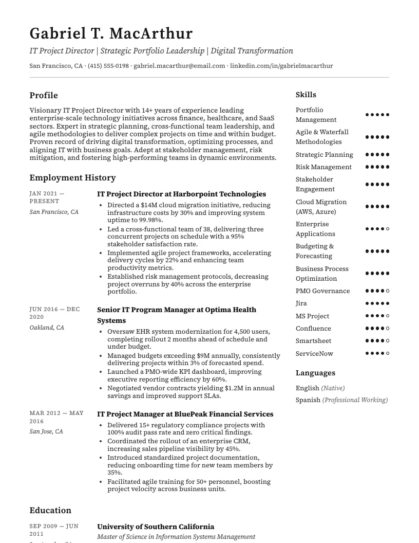 IT Project Director Resume Example