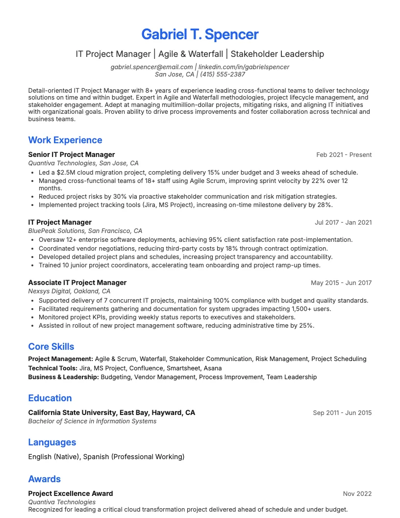 IT Project Manager resume example