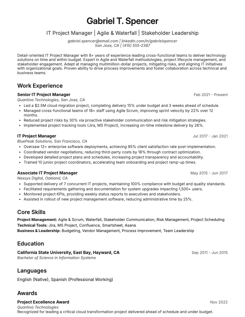 IT Project Manager Resume Example