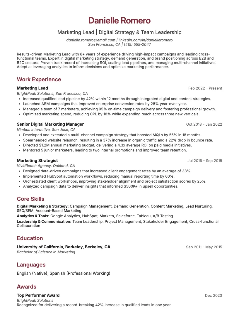 Marketing Lead Resume Example