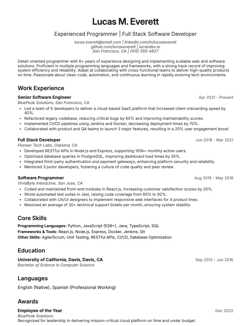 Programmer Resume Example