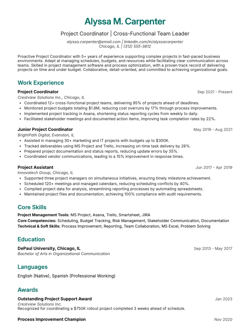 Project Coordinator Resume Example