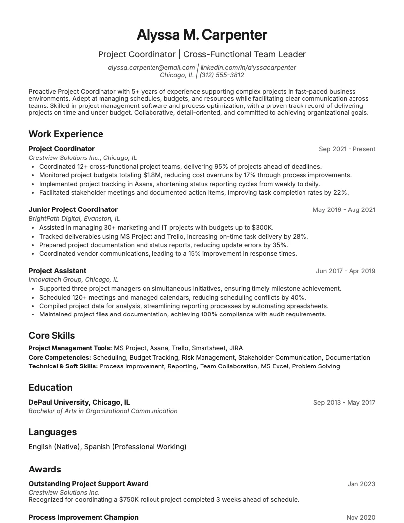 Project Coordinator Resume Example
