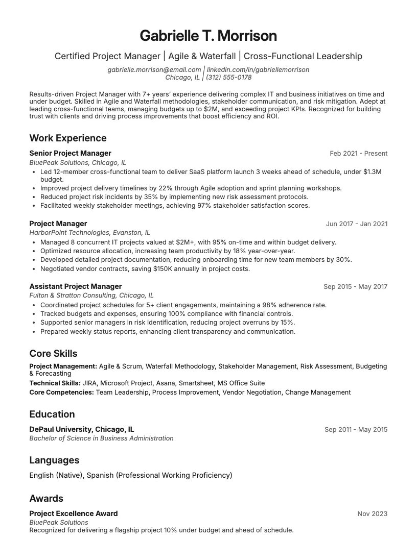 Project Manager Resume Example