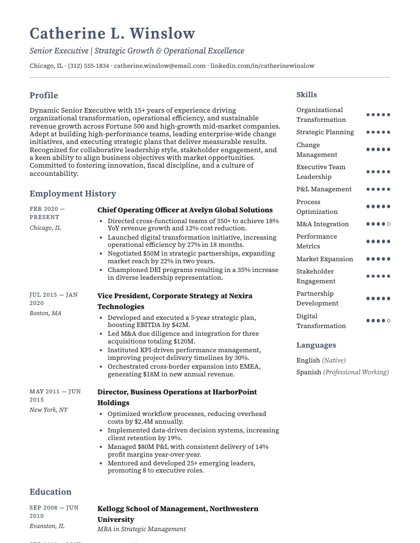 Senior Executive Resume Example