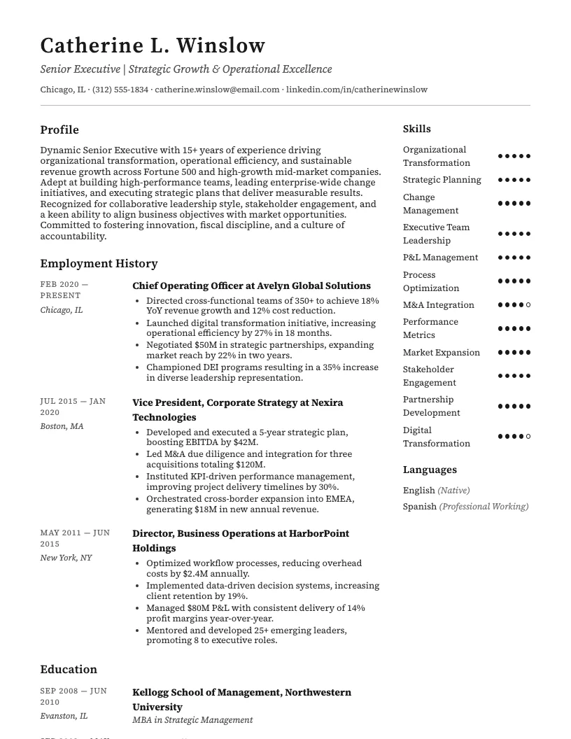 Senior Executive Resume Example