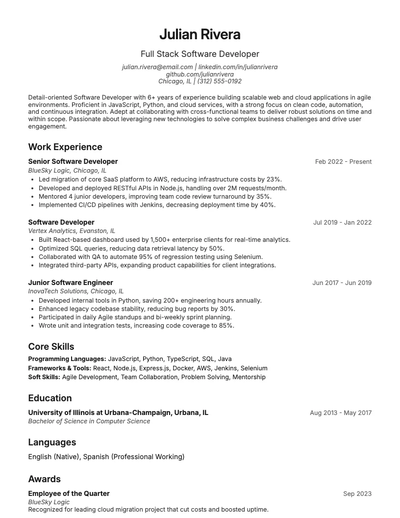 Software Developer Resume Example