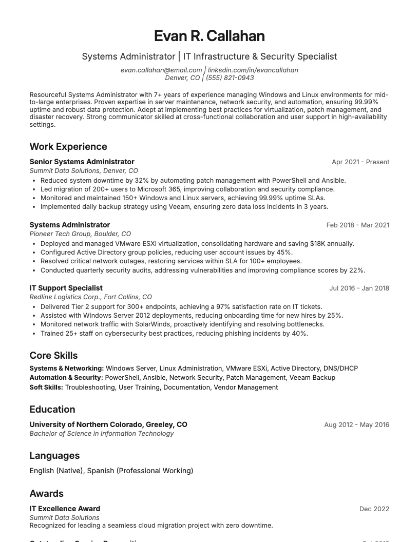 IT Administrator Resume Example