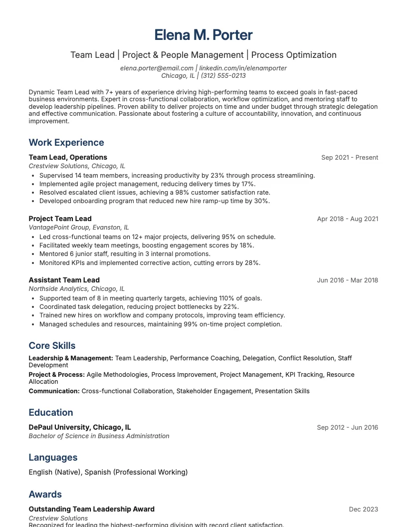 Project Lead Resume Example