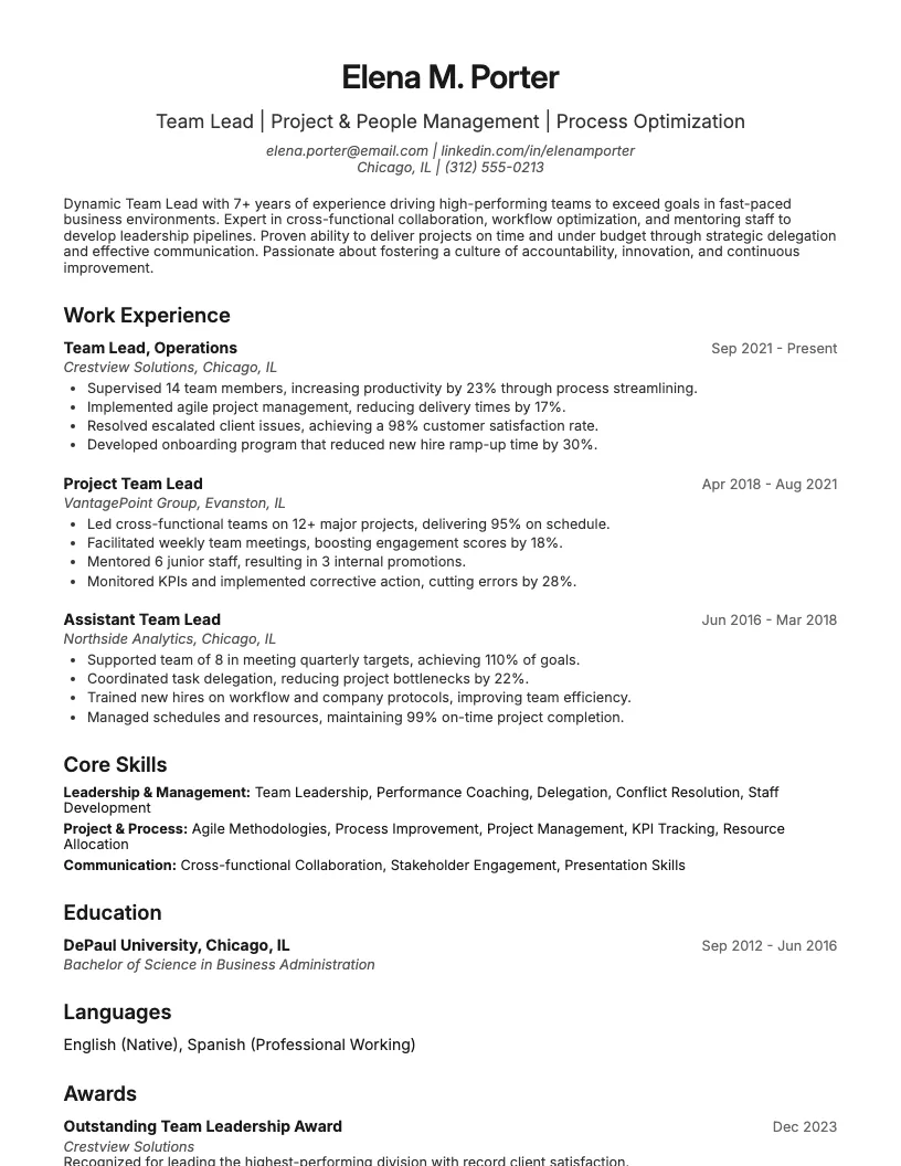 Team Lead Resume Example