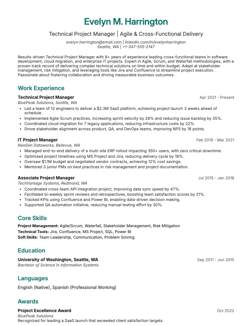 Technical Project Manager Resume Example