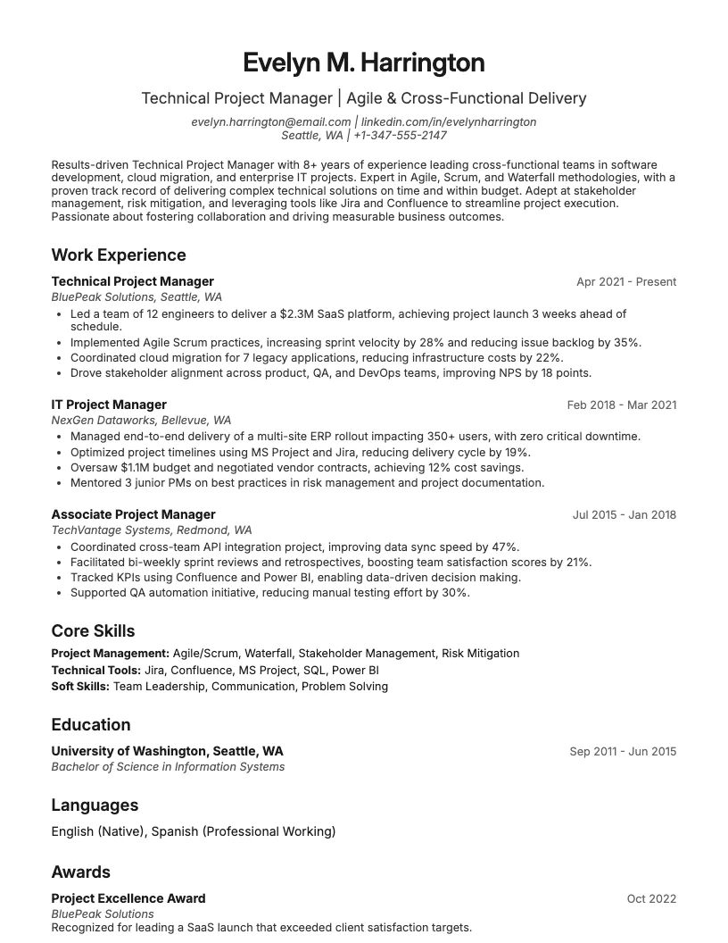 Technical Project Manager Resume Example