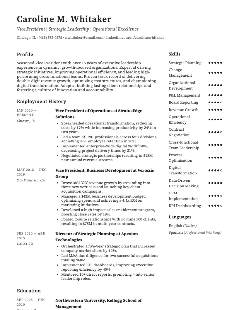 Vice President Resume Example