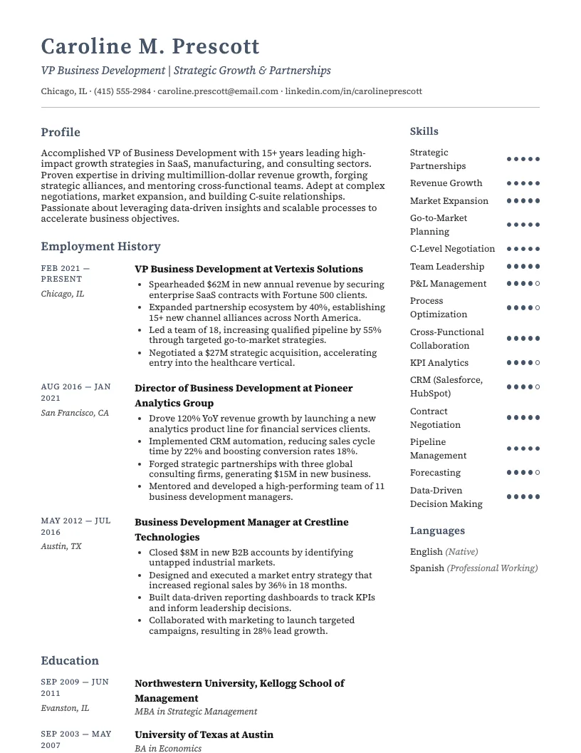 VP Business Development resume example