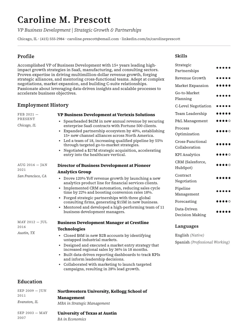 Vp Business Development Resume Example
