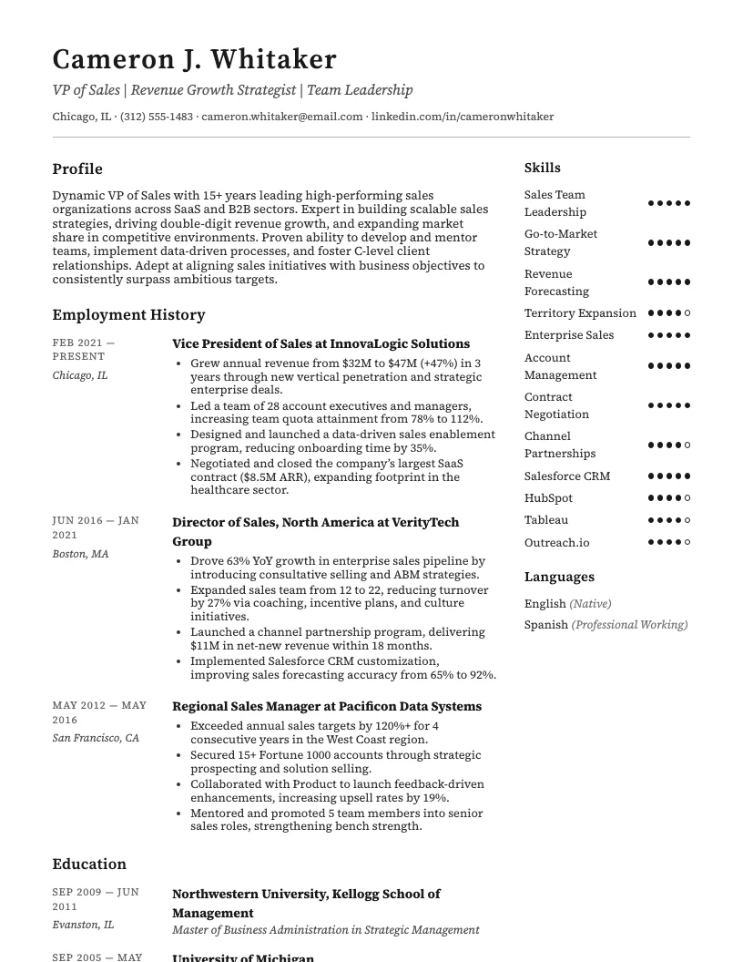 Vp Of Sales Resume Example